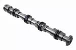 55511463 - : Intake Camshaft for Buick: Envision | Cadillac: CT4, CT5, CT6, XT4, XT5, XT6 | Chevrolet: Blazer, Equinox | GMC: Acadia Image