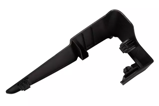 Ebony Rear Seat Cushion Side Inner Cover - GM (25797940)