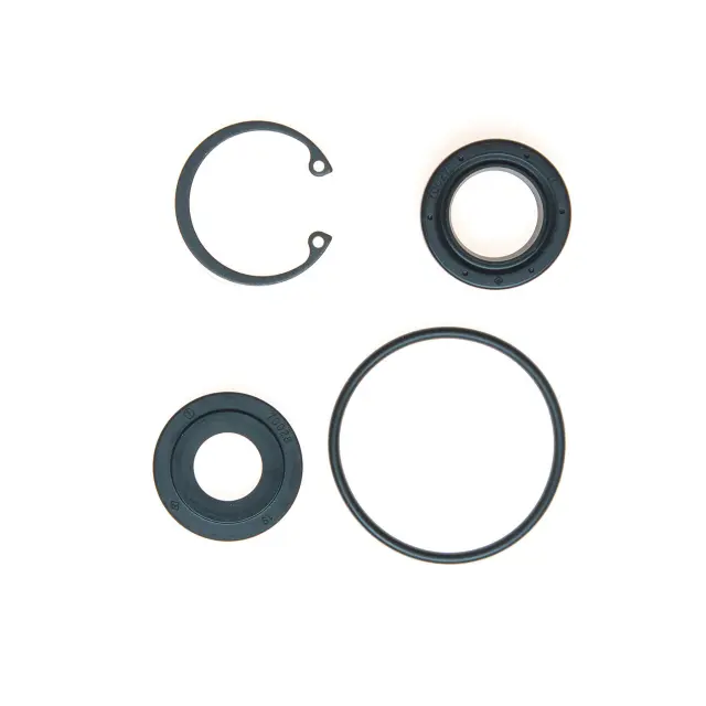8525 - : STG. GEAR INPUT SHAFT SEAL KIT for Edelmann Image