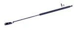 610937 - : Liftgate Lift Support for Tuff Support Image