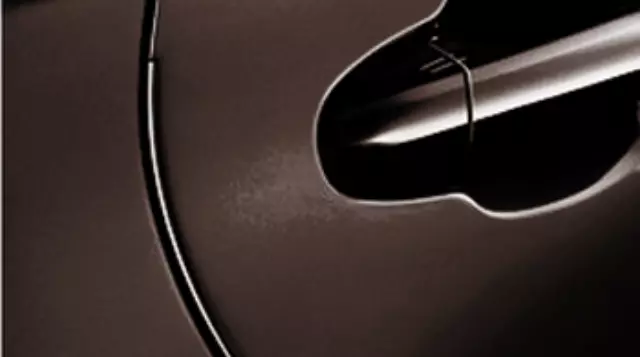 PT9364817004 - Body: Door Edge Guard, Toasted Walnut Pearl for Toyota: Highlander Image