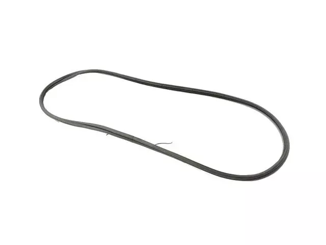 68415148AA - Doors, Door Mirrors and Related Parts: Door Opening Weatherstrip, Right Or Left for Ram: ProMaster City Image