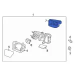 ML3Z17D743AA - Body: Mirror Cover for Ford Image