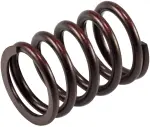 VS450 - : Stock Replacement Valve Spring for Melling Image