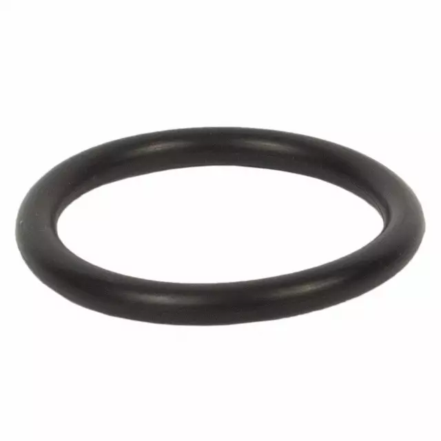BC3Z8590A - Cooling System: Lower Pipe O-Ring for Ford: F-250 Super Duty, F-350 Super Duty, F-450 Super Duty Image