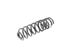68262679AB - : Rear Coil Spring, Right for Ram: 1500 Image