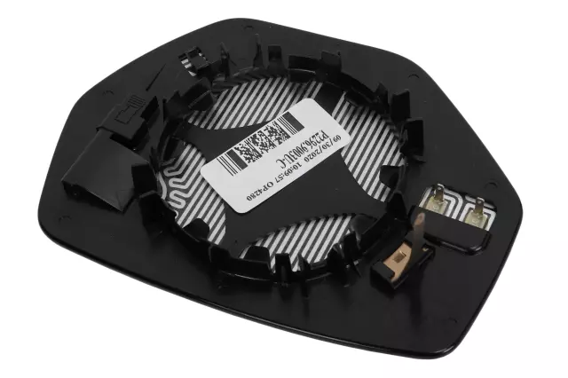 Outside Rearview Mirror with Glass and Backing Plate - GM (84743802)