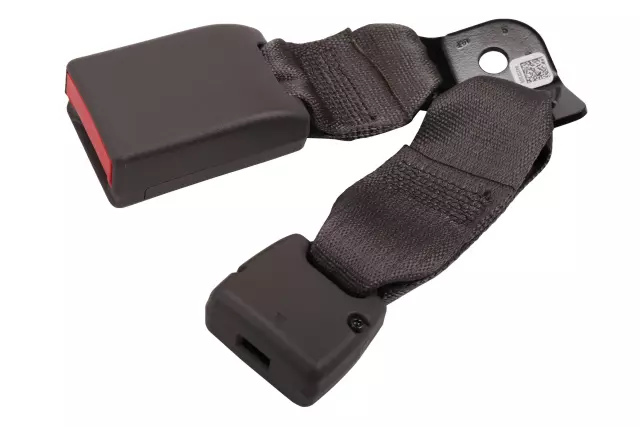 Gray Rear Passenger Side Seat Belt Buckle - GM (84700580)