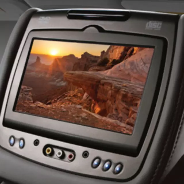 Headrest and Video Screen Assembly - GM (23408487)