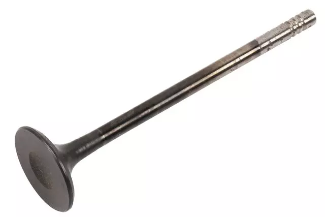 55568832 - : Engine Exhaust Valve for GM Image