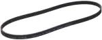 119501CA0B - : Power Steering Belt for Infiniti Image