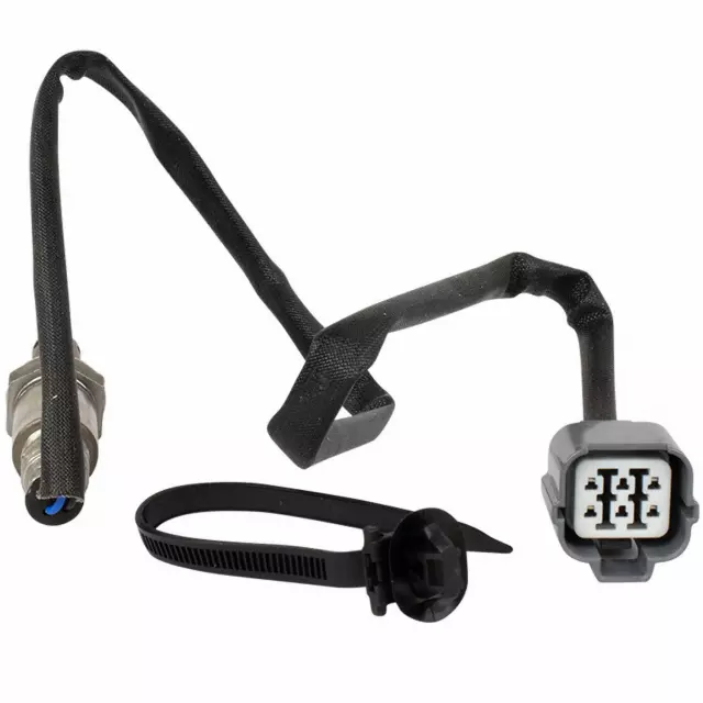 Sensor Hego - Ford (QDY65)