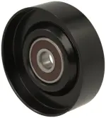 5004 - : Idler / Tensioner Pulley for Hayden Image