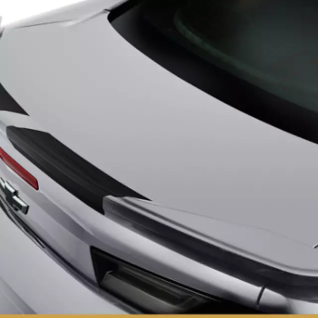 Exterior Trim, Spoiler Center Stripe - GM (84189702)