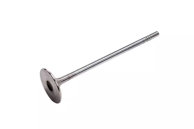 55557741 - Engine: Intake Valve for Saturn: Astra Image