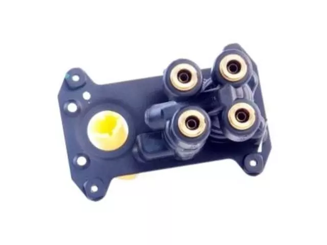 Valve Assembly - Ford (F81Z-2A622-BA)