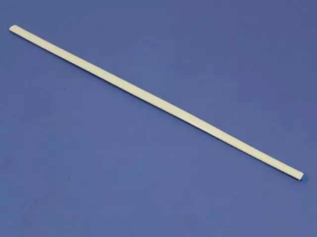 Body Side Molding - Mopar (MR760456)
