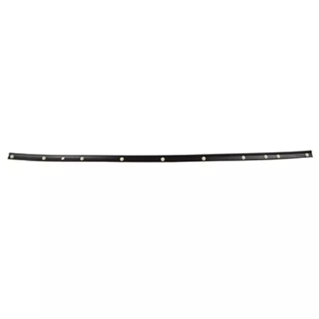 2017-2020 Ford Lower Seal - Ford (CK4Z-61842K02-A)