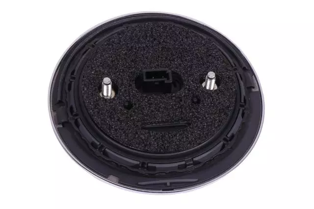 Anthracite Rear Closure Outside Handle Pushbutton - GM (13489608)