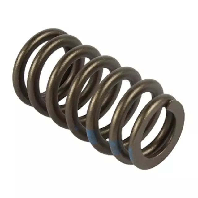 Valve Springs - Ford (BC3Z-6513-A)