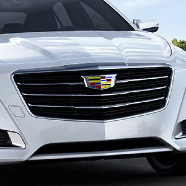 Exterior Trim, Grille Package - GM (84124920)