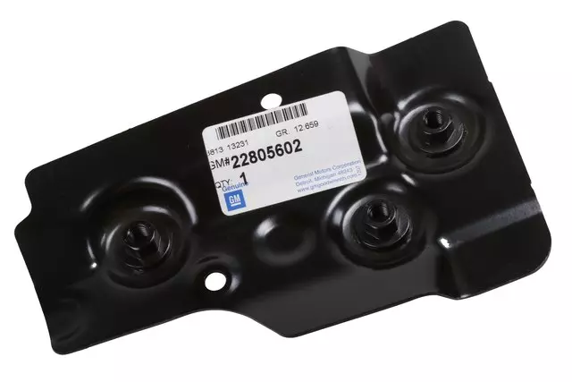 Driver Side Body Hinge Pillar Outer Panel Reinforcement - GM (22805602)