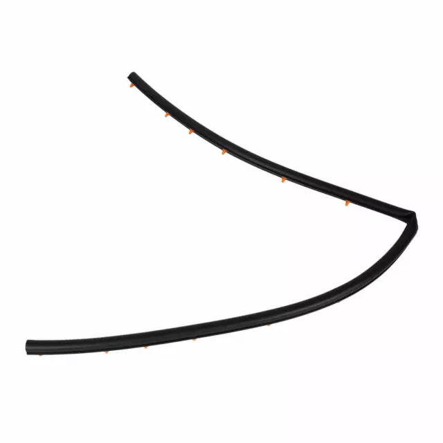 AG1Z16B990A - : 2010-2012 Ford Taurus - Front Weather-Strip for Ford: Taurus Image