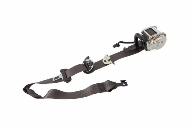 85003895 - Electrical: Outer Belt Assembly for GM Image