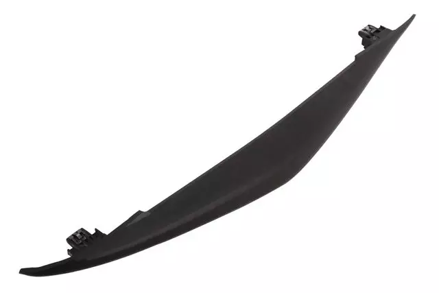 Center Molding - GM (23356396)