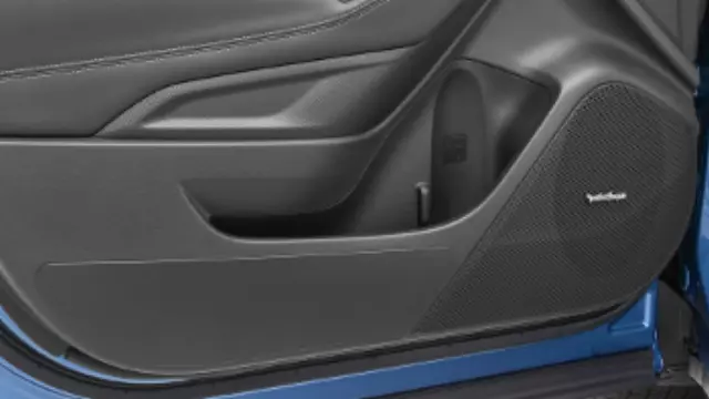 J131SSJ000 - Interior: Door Scuff Protector for Subaru: Forester Image