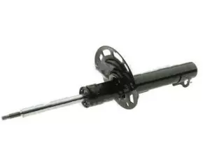 9S4Z18124F - Suspension: Suspension Strut for Ford Image