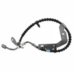 BRHF162 - Brakes: Motorcraftâ„¢ Brake Hose for Ford: F-250 Super Duty, F-350 Super Duty, F-450 Super Duty Image