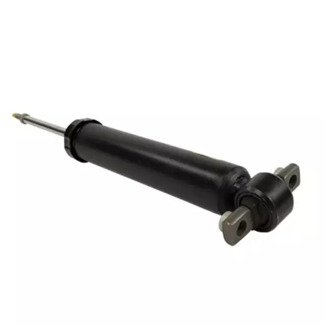 Shock Absorber Assembly - Ford (ASH-866063)