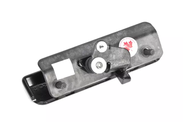 Rear Exterior Door Handle with Pins, Washer, and Retainer - GM (15173052)