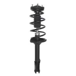 818682 - : PRT 818682 Suspension Strut and Coil Spring Assembly for PRT PERFORMANCE RIDE Image