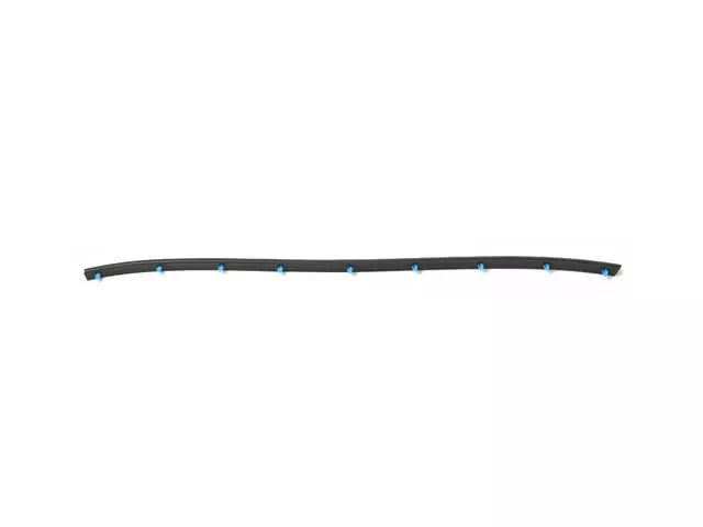 Front Door Opening Weatherstrip, Right Or Left - Mopar (68285482AA)