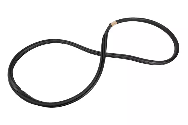 25956335 - Body: Surround Weather-strip for GM Image