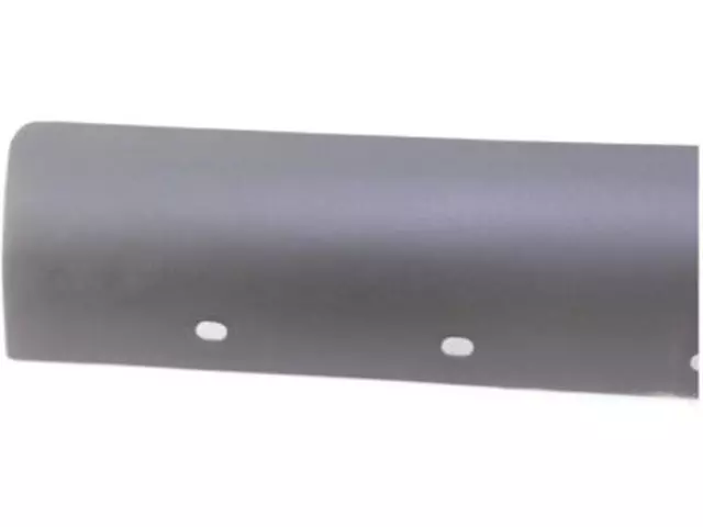 Stone Guard - Ford (F65Z-99292A22-BAA)