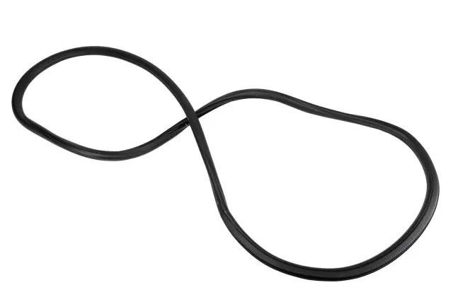 95190186 - Body: Weather-strip On Body for Chevrolet: Sonic Image