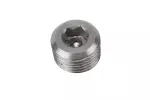 10040001 - : Multi-Purpose Hole Plug for ACDelco Image