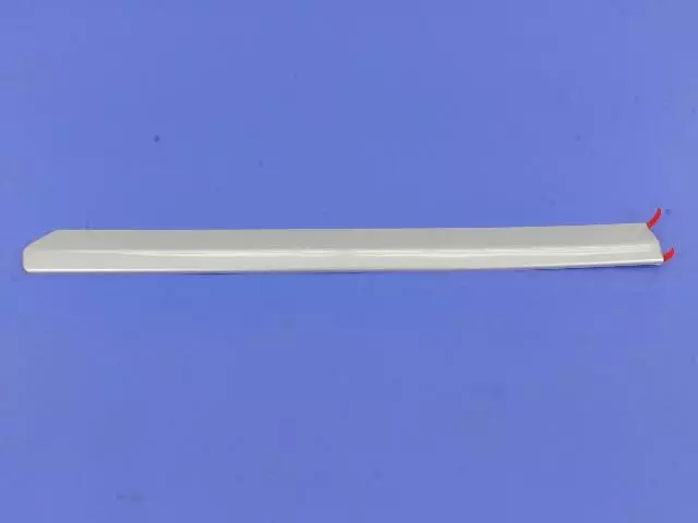 1CH95WS2AB - Body: Side Molding for Jeep: Compass, Patriot Image