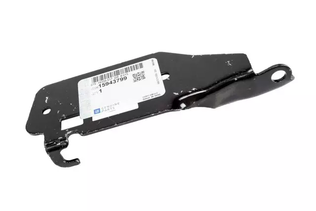 15943799 - Body: Hinge for Cadillac: CTS Image