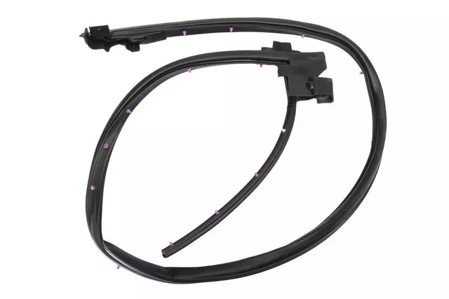 15290820 - Body: Surround Weather-strip for Chevrolet: Colorado | GMC: Canyon Image image