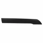 DT1Z6120878BB - Body: Body Side Molding for Ford: Transit Connect Image