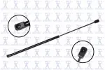 84794 - : Hood Lift Support for Focus Auto Parts Image