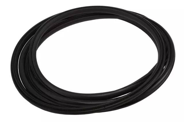 92237346 - Body: Glass Weather-strip for Chevrolet: SS Image