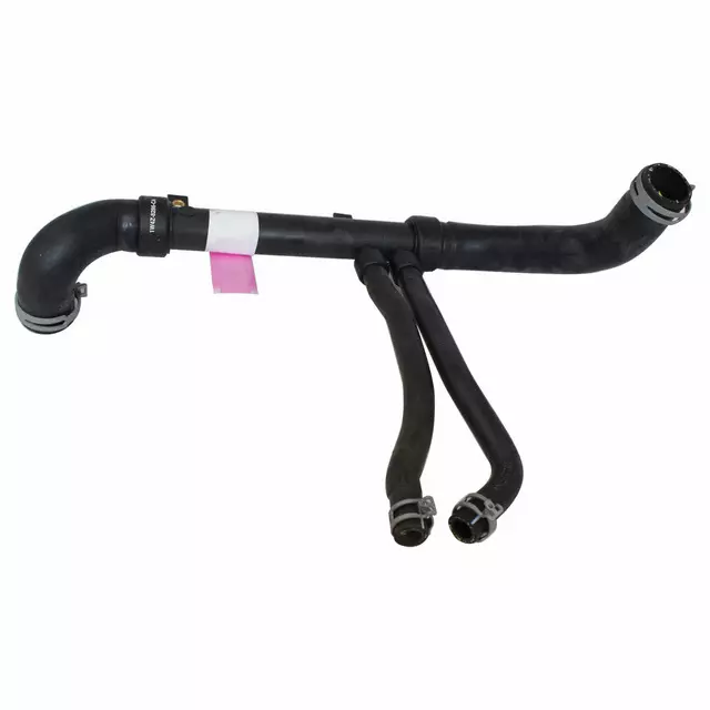1W4Z8286CA - Cooling System: Lower Hose for Lincoln: LS Image