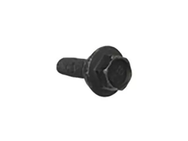 License Bracket Screw - Ford (W714769-S307)