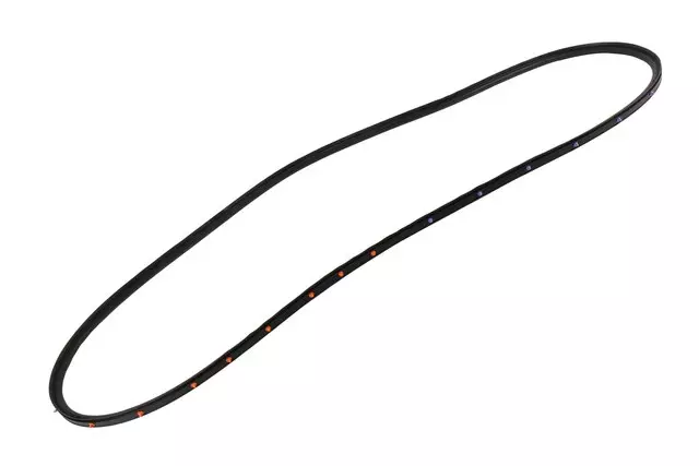 84136389 - Body: Door Weather-strip for GM Image