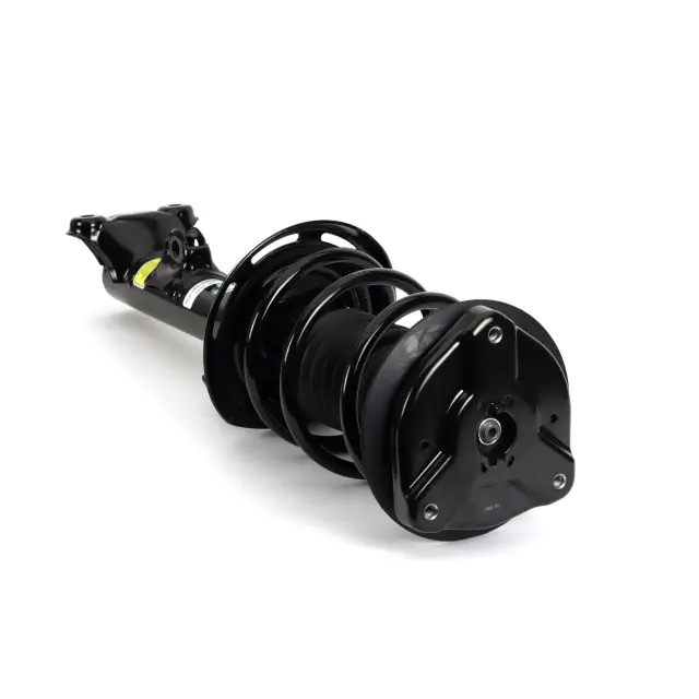 SK3889 - : Arnott Suspension Strut and Coil Spring Assembly for Arnott Image